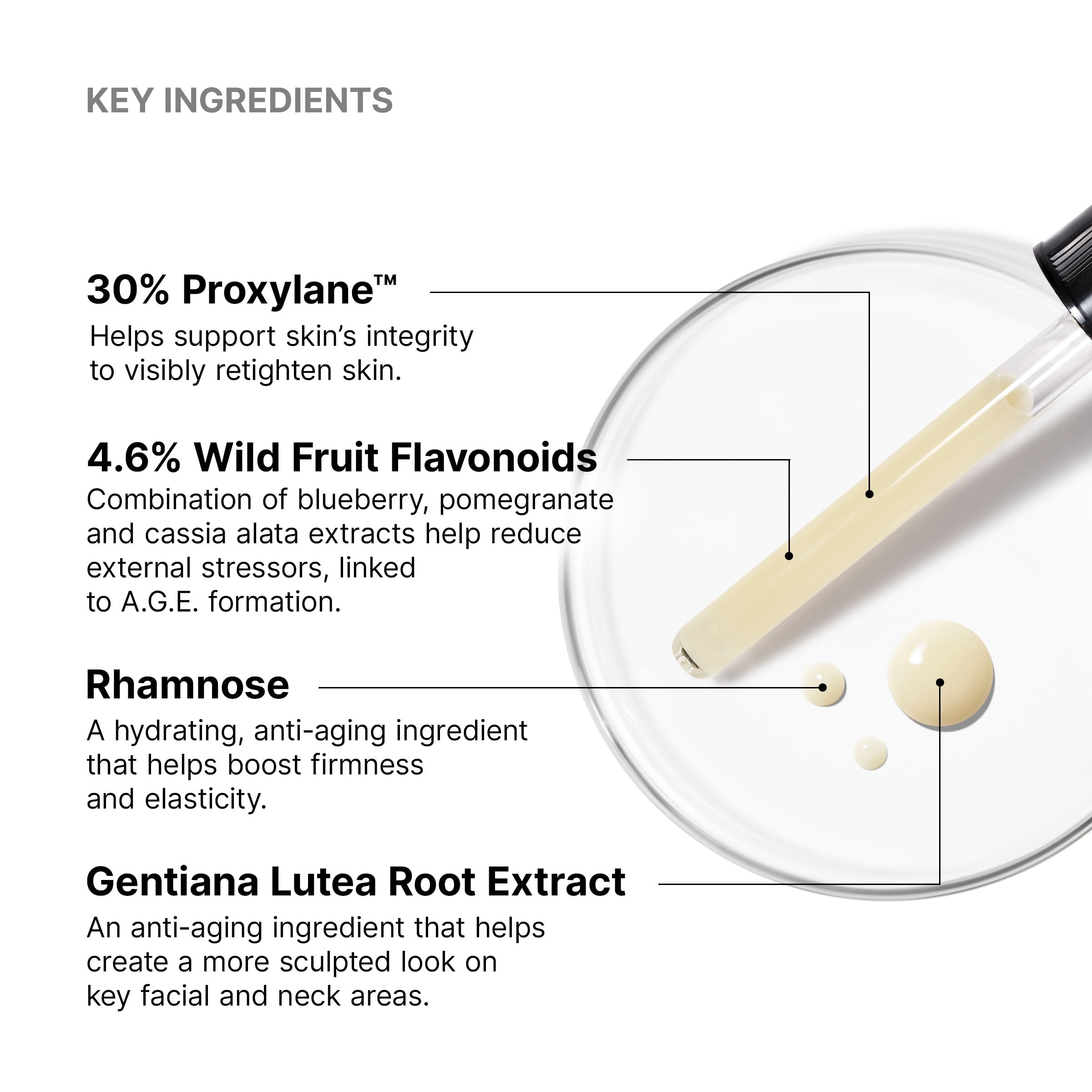 SkinCeuticals SkinCeuticals - A.G.E Interrupter Ultra Serum - photo 3