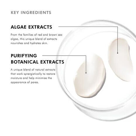 SkinCeuticals SkinCeuticals - Daily Moisture - photo 2