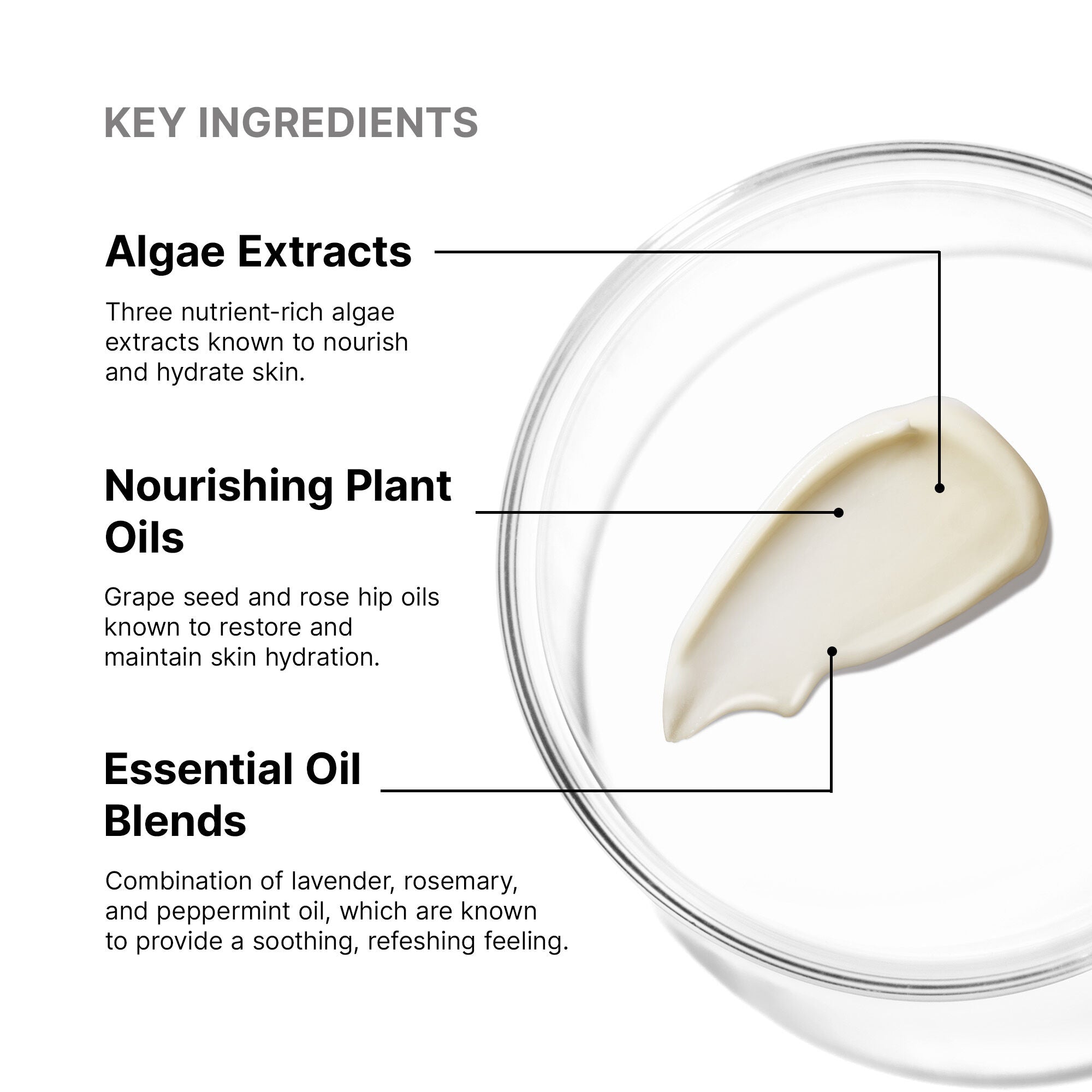 SkinCeuticals SkinCeuticals - Emollience Moisturizer - photo 3